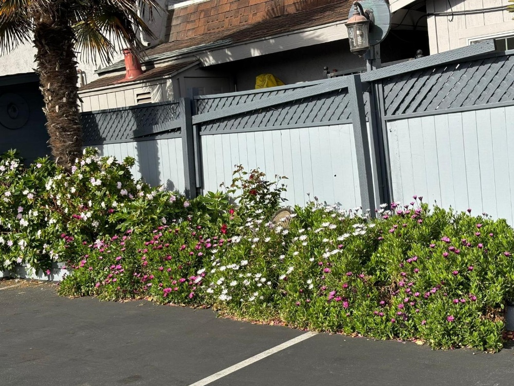 The Monterey Fireplace Inn