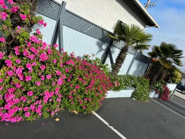 The Monterey Fireplace Inn 7