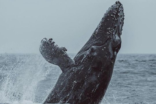 Tour image 4